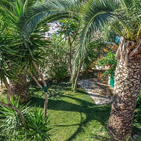 Olive Grove Apts Lithakia  Extérieur photo