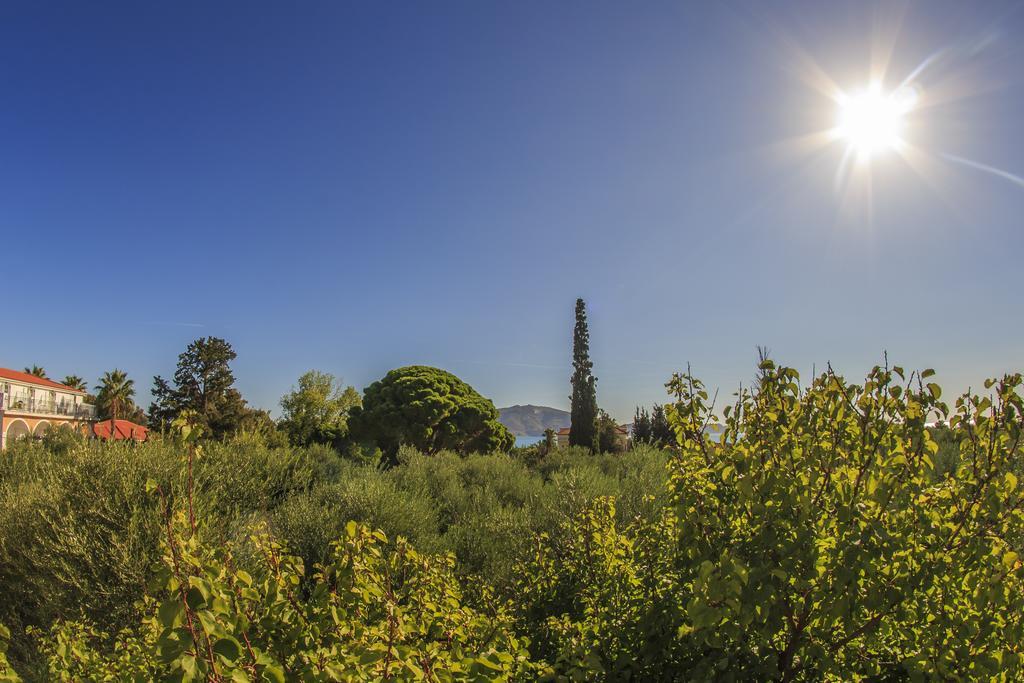 Olive Grove Apts Lithakia  Chambre photo