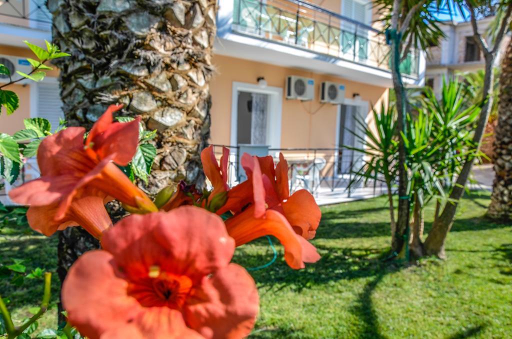 Olive Grove Apts Lithakia  Extérieur photo