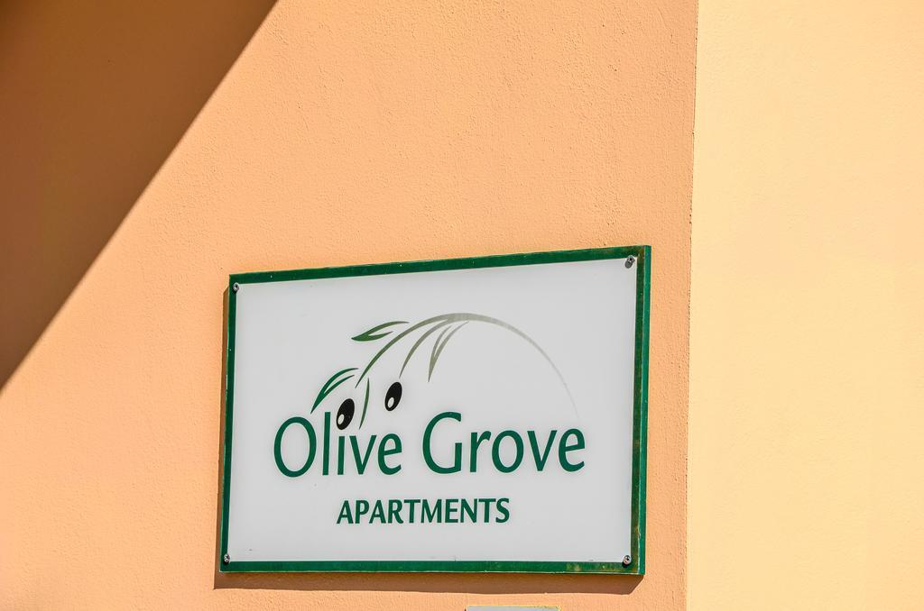 Olive Grove Apts Lithakia  Extérieur photo