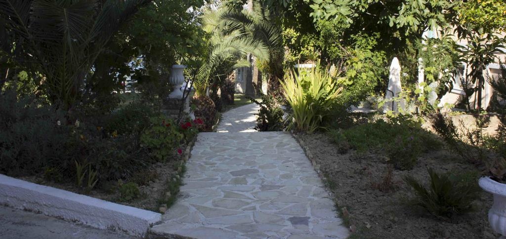 Olive Grove Apts Lithakia  Extérieur photo